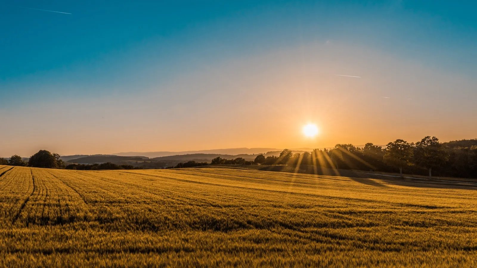 Feldweg im warmen Abendlicht